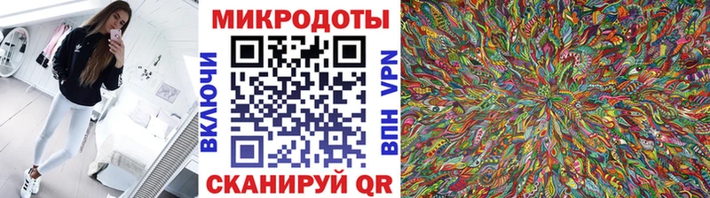 Псилоцибиновые грибы Psilocybe Светлоград