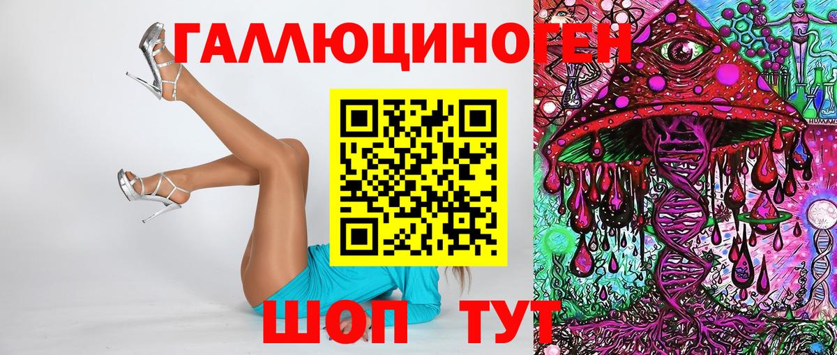 Галлюциногенные грибы Psilocybine cubensis Светлоград