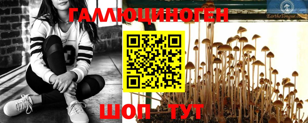 Галлюциногенные грибы мицелий  Вход с VPN  Светлоград 